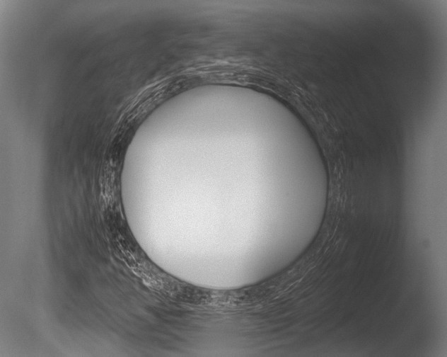 X0000086041350200703230843