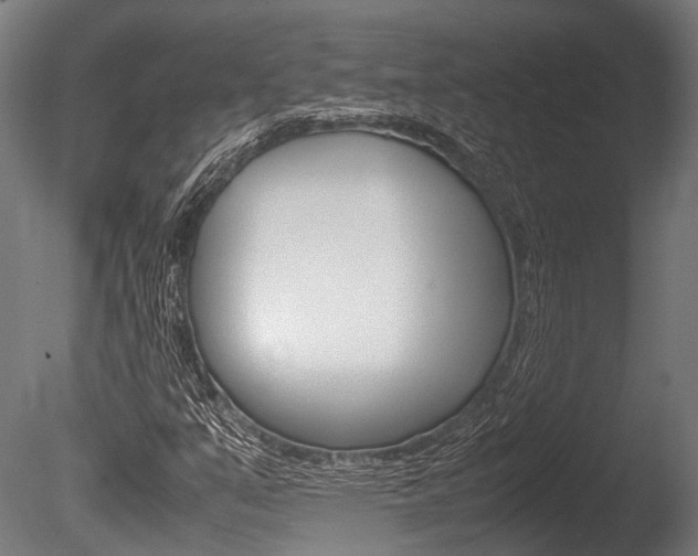 X0000086041351200703230843