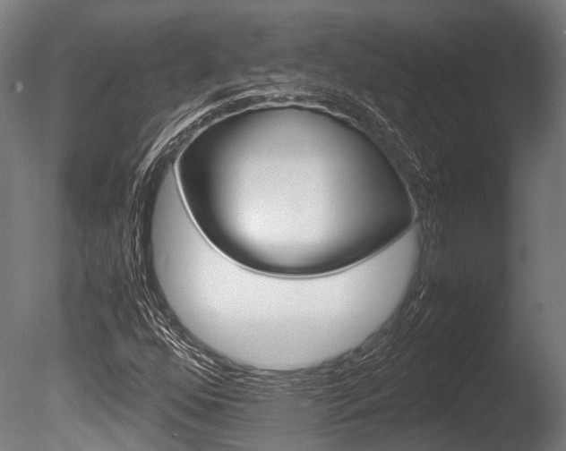X0000086041352200703230843