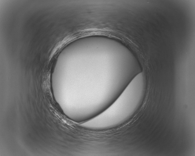 X0000086041357200703230843