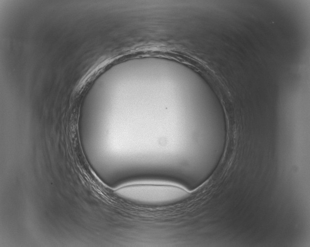 X0000086041359200703230843