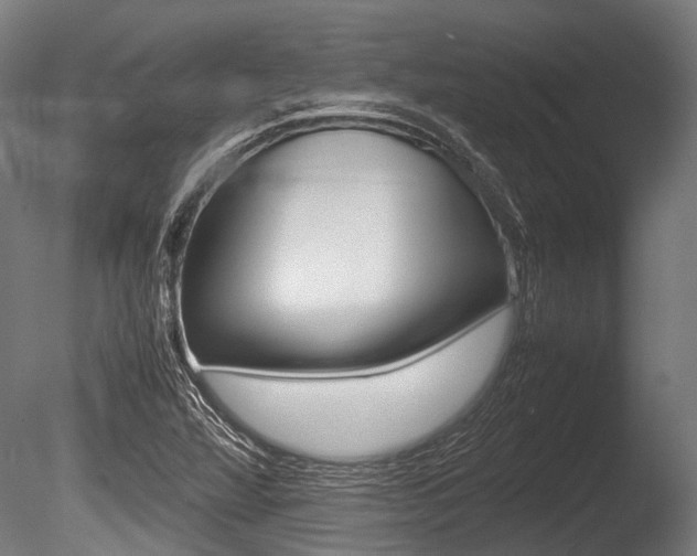 X0000086041360200703230843