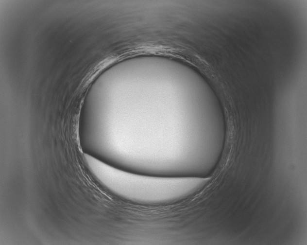 X0000086041361200703230843