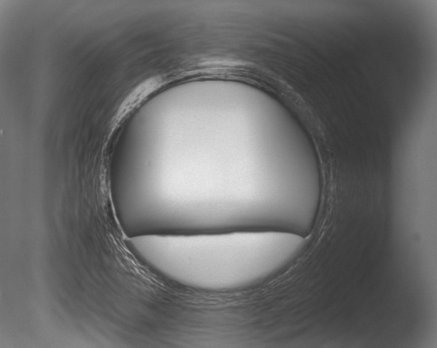 X0000086041362200703230843