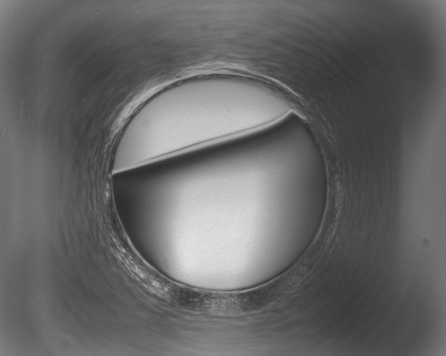 X0000086041363200703230843