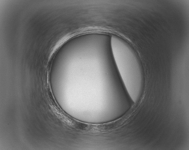 X0000086041365200703230843
