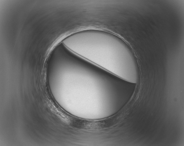X0000086041367200703230843