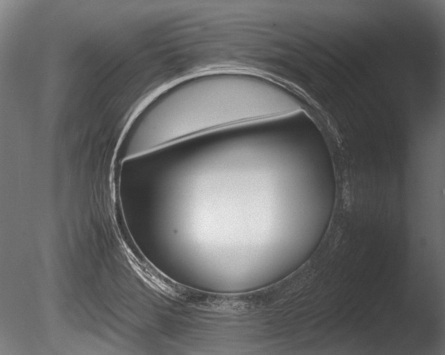 X0000086041372200703230843
