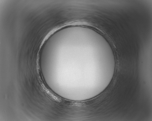 X0000086041374200703230843