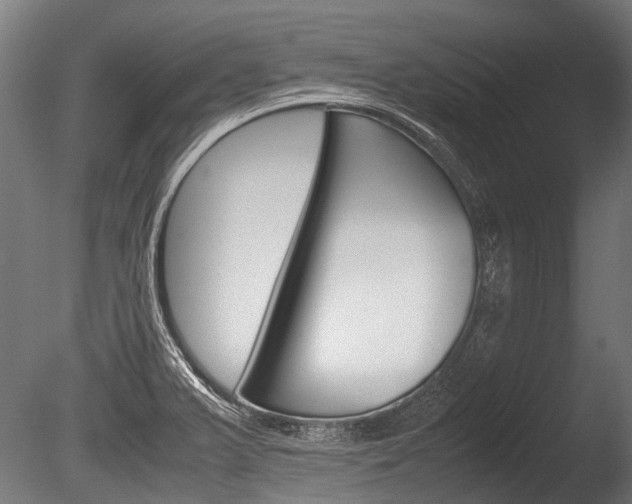 X0000086041375200703230843