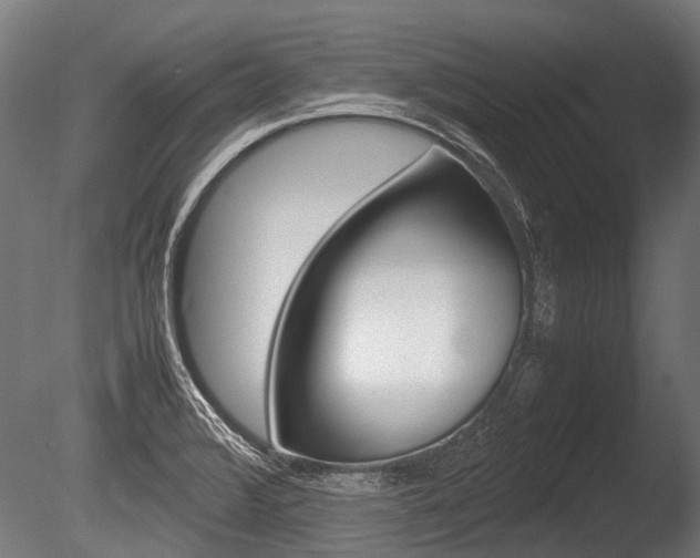 X0000086041376200703230843