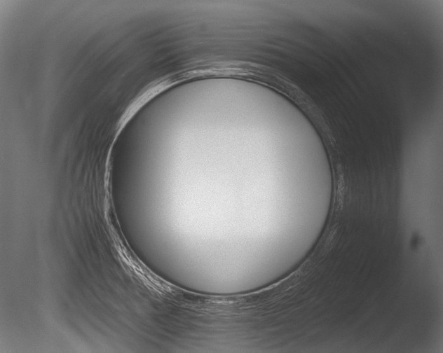 X0000086041378200703230843
