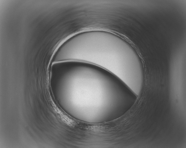 X0000086041380200703230843