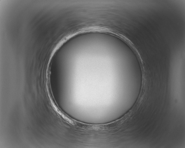 X0000086041381200703230843