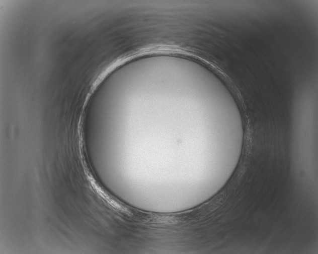 X0000086041382200703230843
