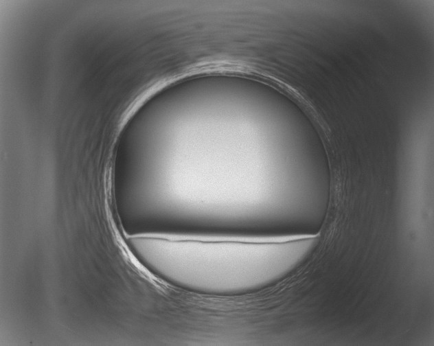X0000086041383200703230843