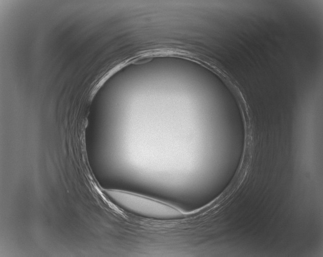 X0000086041385200703230842