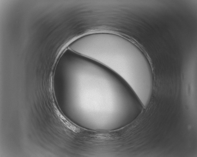 X0000086041388200703230842