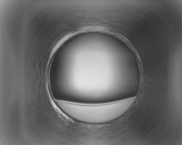 X0000086041389200703230842
