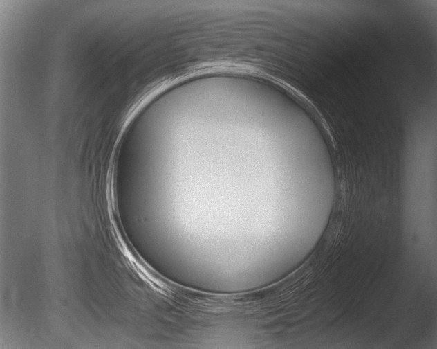 X0000086041391200703230842