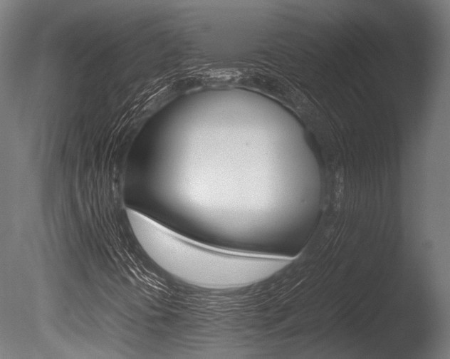 X0000086041394200703230842