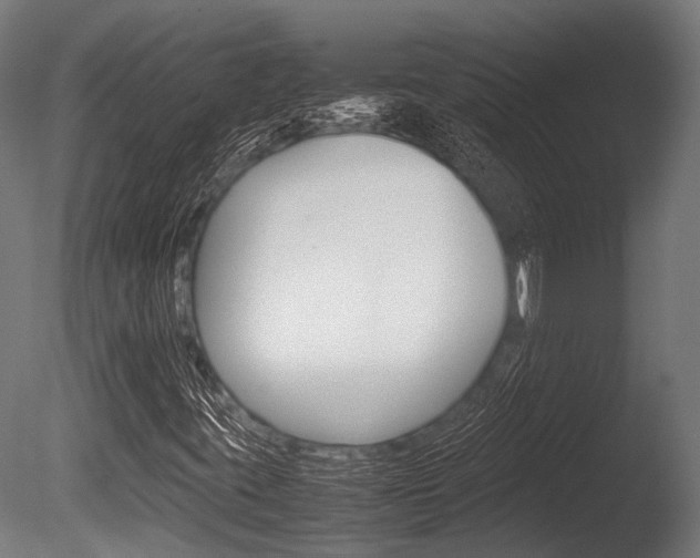 X0000086041395200703230842