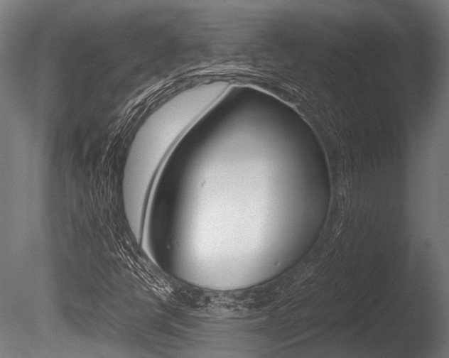 X0000086041398200703230842