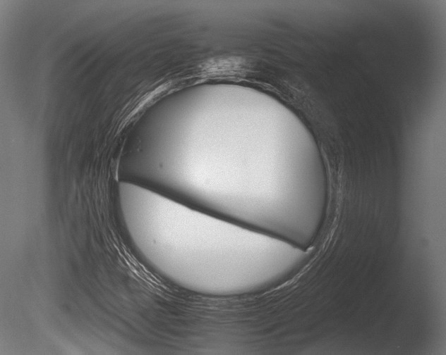 X0000086041401200703230842