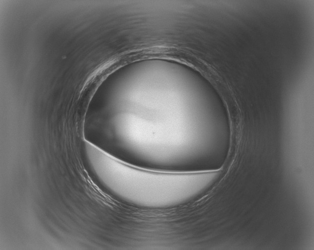 X0000086041402200703230842