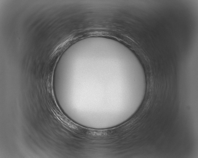 X0000086041403200703230842