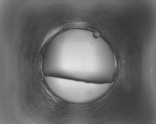 X0000086041405200703230842