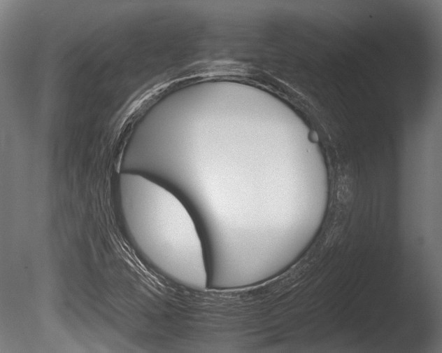 X0000086041407200703230842