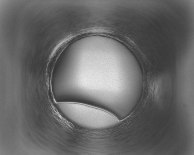 X0000086041408200703230842