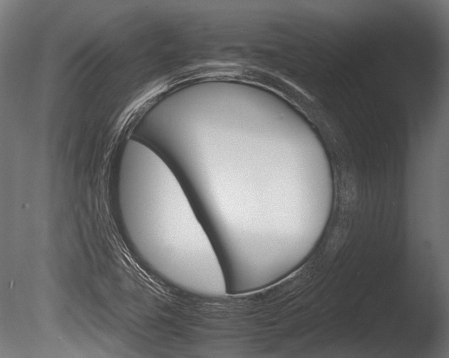 X0000086041411200703230842
