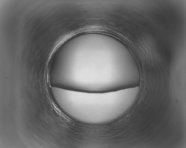 X0000086041413200703230842