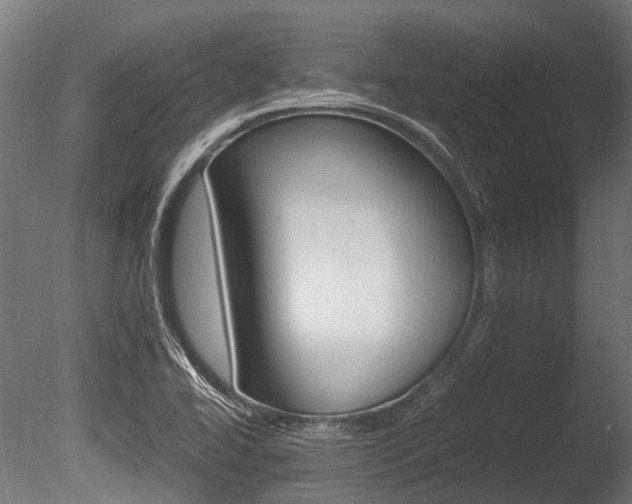 X0000086041414200703230842