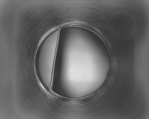 X0000086041418200703230842