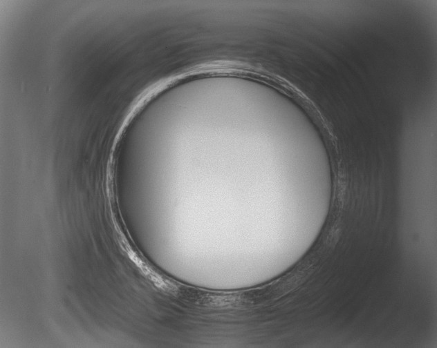 X0000086041421200703230842