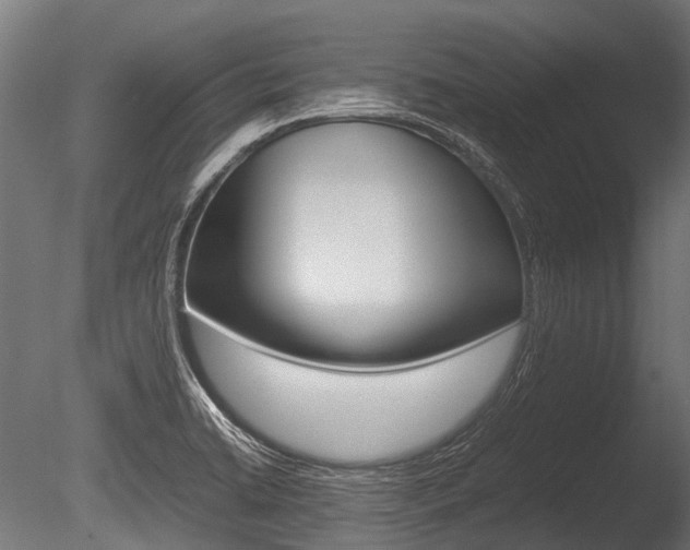 X0000086041422200703230842