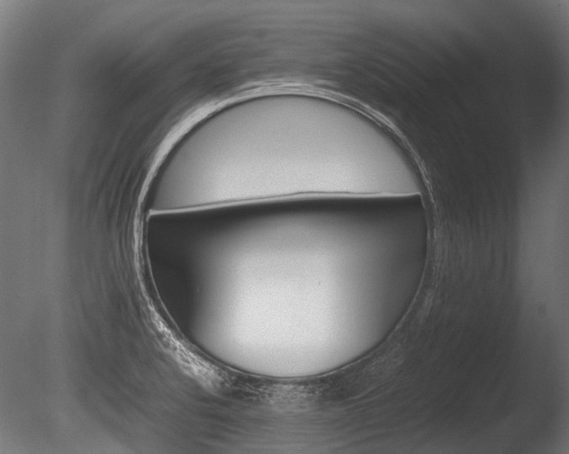 X0000086041424200703230842