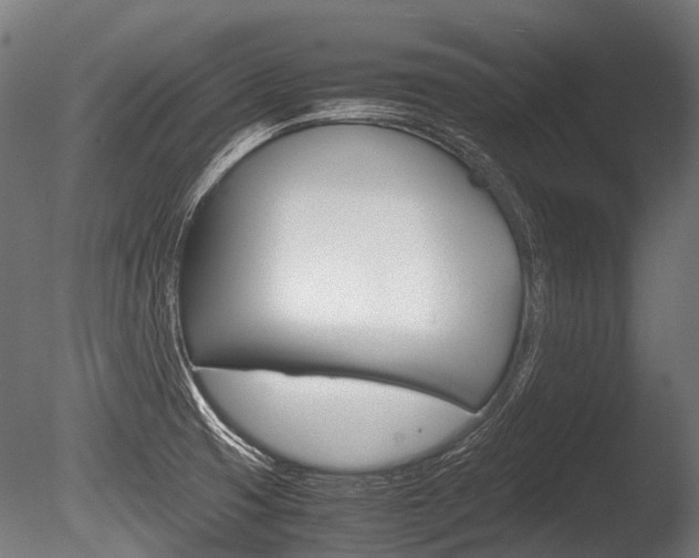 X0000086041425200703230842