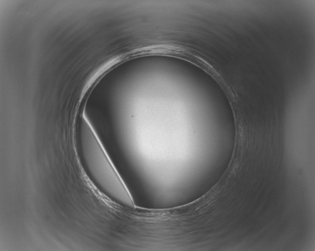 X0000086041426200703230842