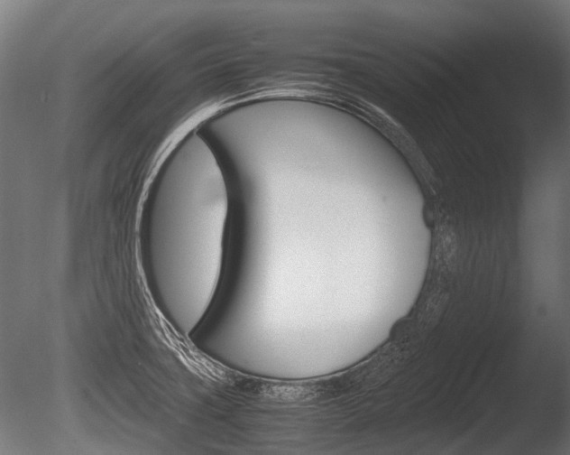 X0000086041427200703230842