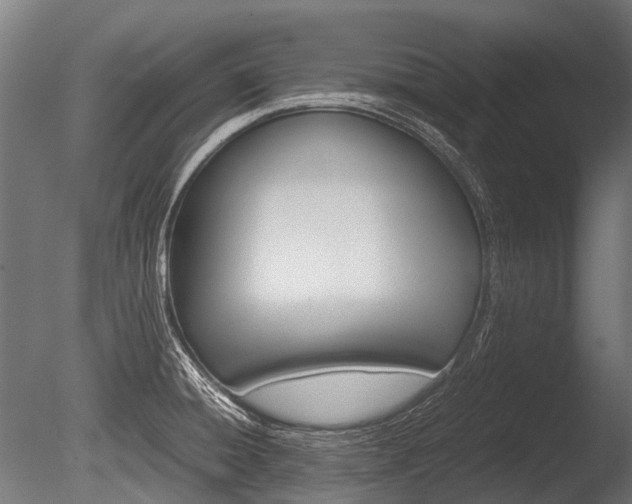 X0000086041428200703230842