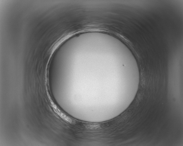X0000086041431200703230842