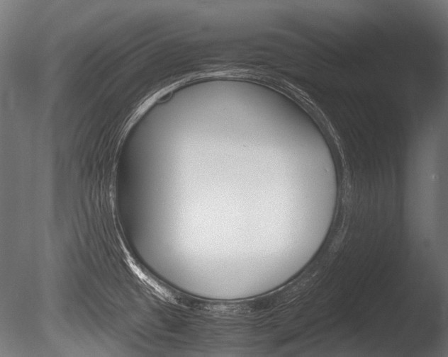 X0000086041433200703230842