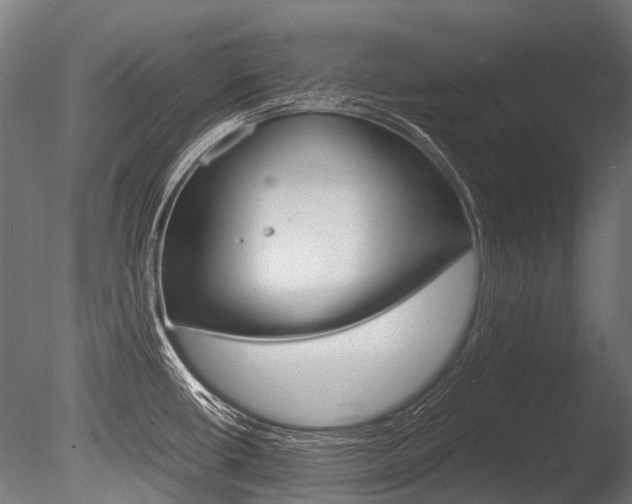 X0000086041434200703230842
