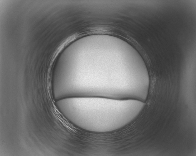 X0000086041435200703230842