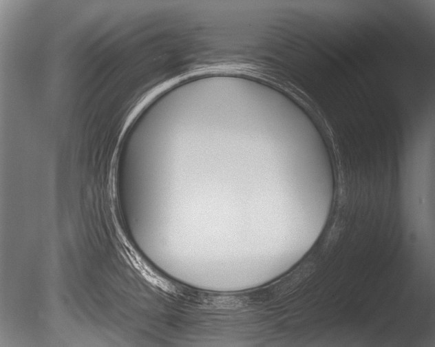 X0000086041436200703230842