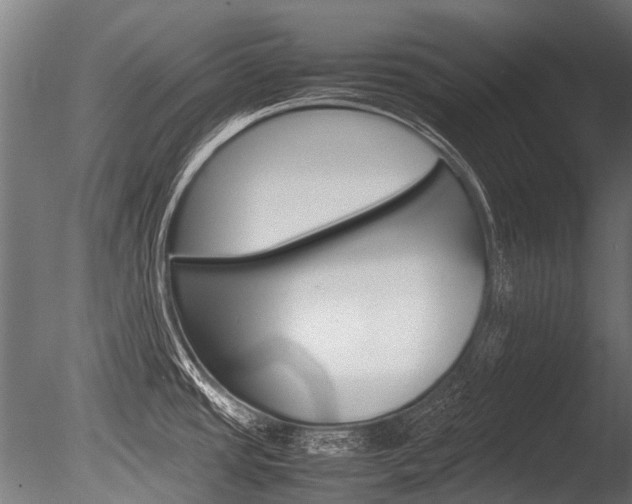X0000086041437200703230842